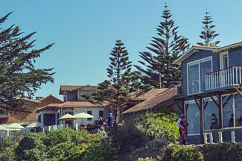 Tour por Isla Negra y Viña Undurraga